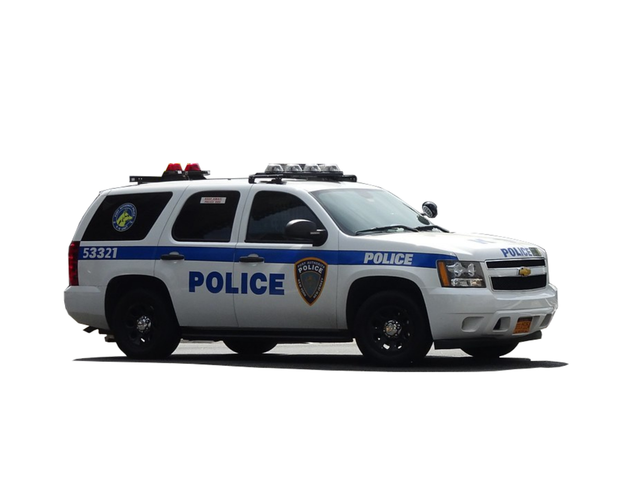 K9-SU-0001 NCSA photo 2