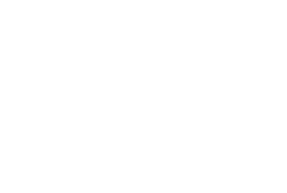 whitedemerslogo